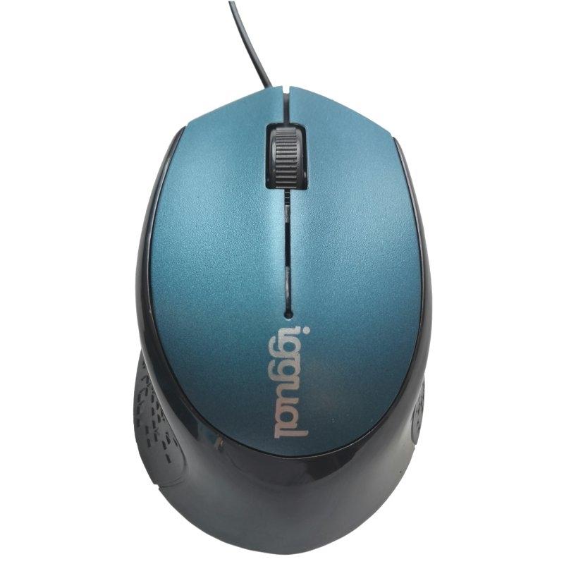 iggual-igg317556-raton-mano-derecha-usb-tipo-a-optico-800-dpi