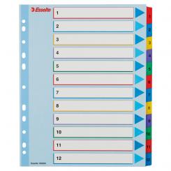 ESSELTE Índice de proyectos multitaladro. DIN A4. Borra y Re-Escribe. Pestañas 1-12, multicolor