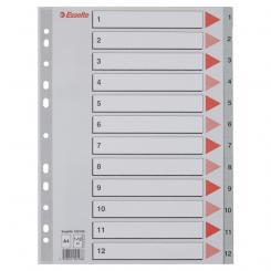 Índice multitaladro ESSELTE. DIN A4. Cartulina índice color. Pestañas 1-12 PP, gris
