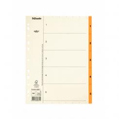 Índice multitaladro ESSELTE. DIN A4. Cartulina índice. Pestañas 1-5 Papel Mylar, beige