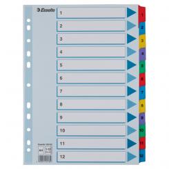 Índice multitaladro ESSELTE. DIN A4. Con cartulina índice color y pestañas reforzadas 1-12 Cartón Mylar, multicolor