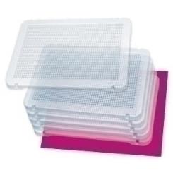 Juego Miniland Pegs Placas Transparentes Set De 6