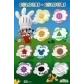 lamina-escolar-erik-pvc-40x595-didactica-colores