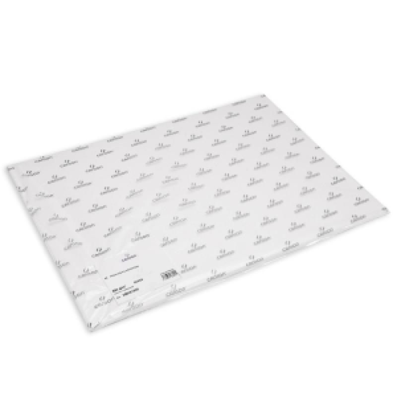 lamina-guarro-canson-dibujo-illustration-250g-50x65-cm