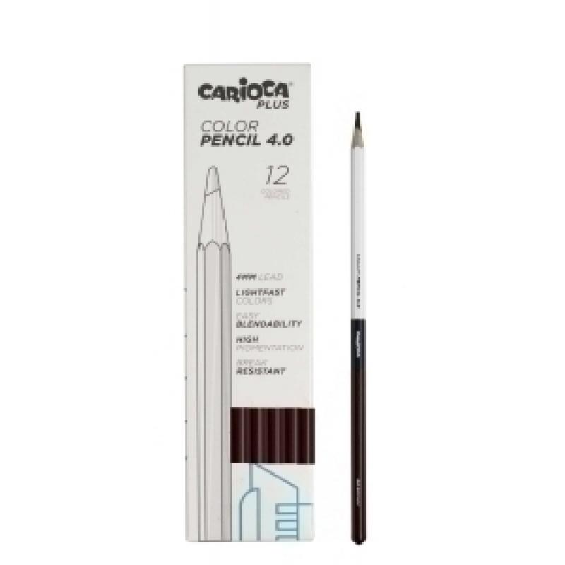 lapices-color-carioca-plus-caja-12-uds-marron