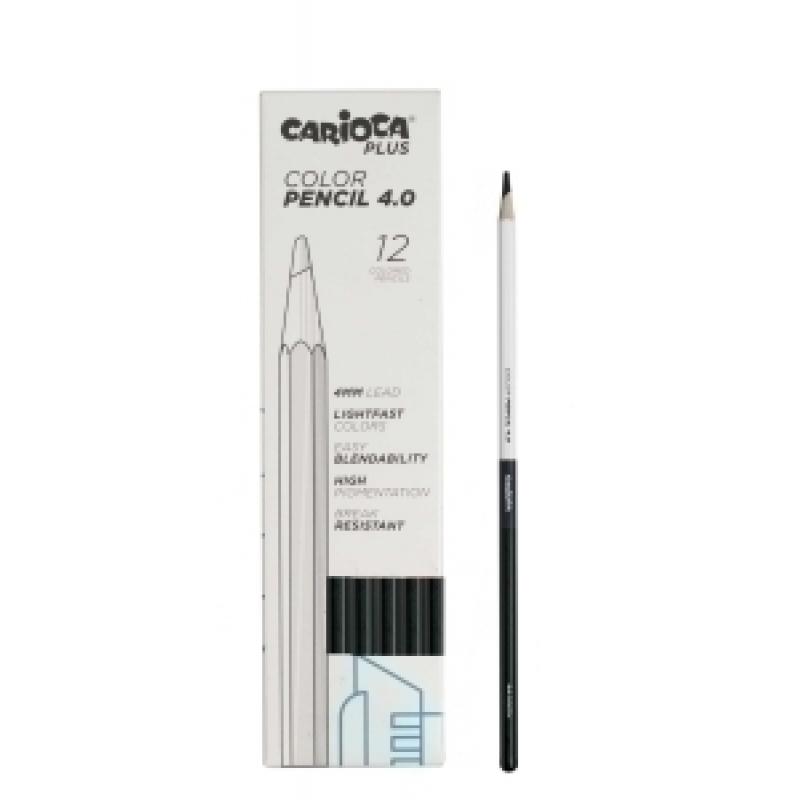 lapices-color-carioca-plus-caja-12-uds-verde
