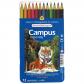 lapices-colores-campus-acuarel-12col