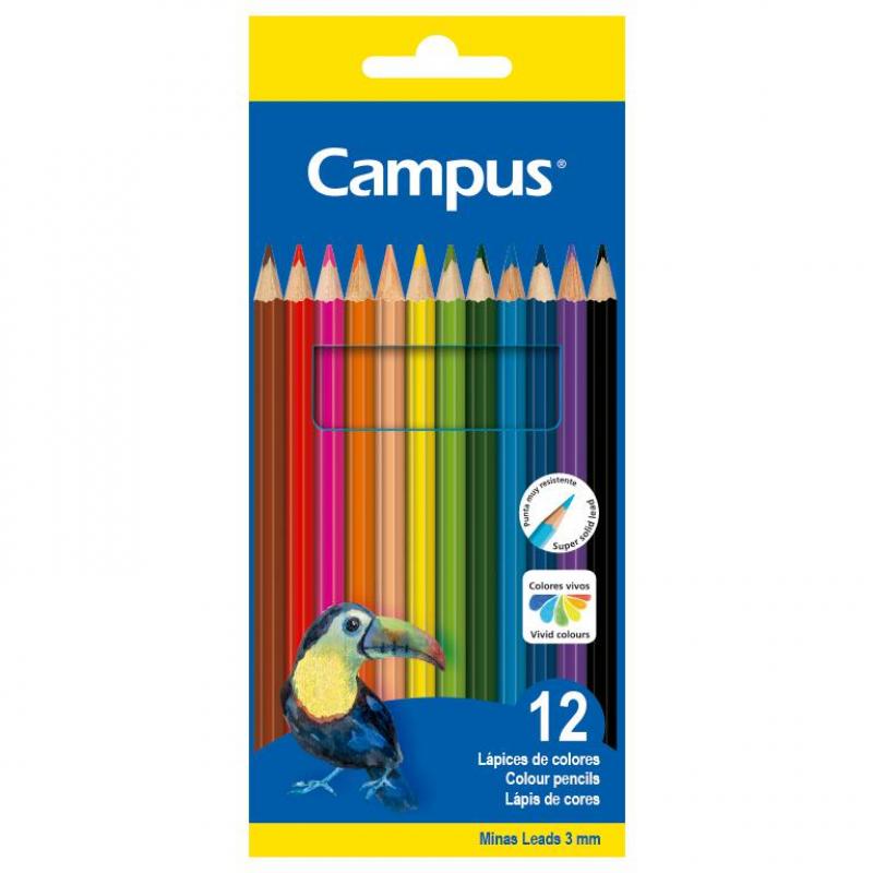 lapices-colores-campus-hexagon12col