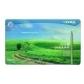 lapices-de-colores-lyra-graduate-estuche-metal-de-36