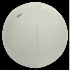 LEITZ Balón de asiento Active de 55cm antideslizante, gris