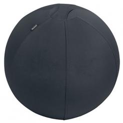 LEITZ Balón de asiento Active de 55cm antideslizante, gris