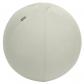 LEITZ Balón de asiento Active de 65cm antideslizante, gris