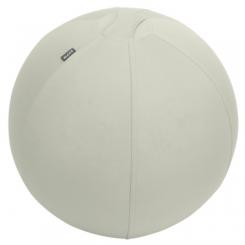 LEITZ Balón de asiento Active de 65cm antideslizante, gris