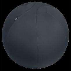 LEITZ Balón de asiento Active de 65cm antideslizante, gris oscuro