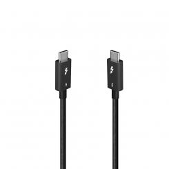 Lindy 31130 cable Thunderbolt 1 m 80 Gbit/s Negro