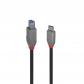 lindy-36668-cable-usb-usb-32-gen-1-31-gen-1-3-m-usb-c-usb-b-negro