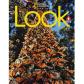 look-level-1-bre-workbook-national-geographic-learning