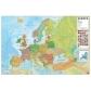 mapa-erik-mural-61x915-cm-fisico-politico-europa