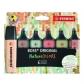 marcador-fluor-stabilo-boss-70-nature-colors-estuche-de-6-verde-barro-verde-tierra-ocre-oscuro-siena-beige-y-gris-calido
