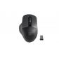natec-blackbird-2-raton-ambidextro-rf-inalambrico-ir-led-1600-dpi