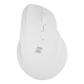 natec-crake-2-raton-universal-mano-derecha-rf-wireless-bluetooth-optico-2400-dpi