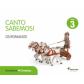 nivel-3-os-romanos-canto-sabemos-obradoiro