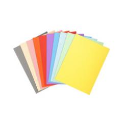 Pack 50 subcarpetas Exacompta A4 FOREVER 170 Colores surtidos