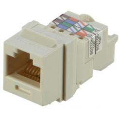Panduit NK6TMIW módulo de conector de red