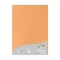 Papel Clairefontaine Pollen A4 210G 25H Clementina
