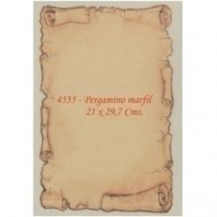 Papel Tema.A4 CG 160G 25H Perg.4555 B/10