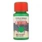 pintura-para-tela-talens-art-creation-opaca-50-ml-bote-verde-hoja