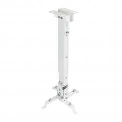TooQ PJ2012T-W montaje para projector Techo Blanco