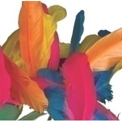Plumas Indio Niefenver Bolsa De 50 Ud