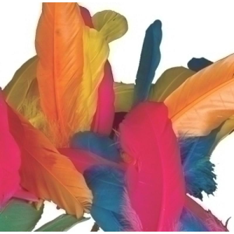 plumas-indio-niefenver-bolsa-de-50-ud