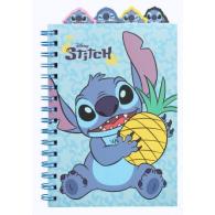 Project Notebook Disney Stich