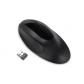 raton-inalambrico-pro-fit®-ergo—negro