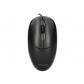 raton-q-connect-optico-800-dpi-usb-15-ghz-negro