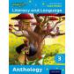 read-write-incliteracy-3-anthology-oxford-university-press