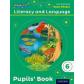 read-write-incliteracy-6-pb-oxford-university-press