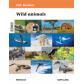 readers-nivel-i-wild-animals-clil-santillana