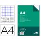 recambio-liderpapel-a4-100-hojas-100-gr-m2-cuadro-5-mm-4-taladros-bandas-de-5-colores