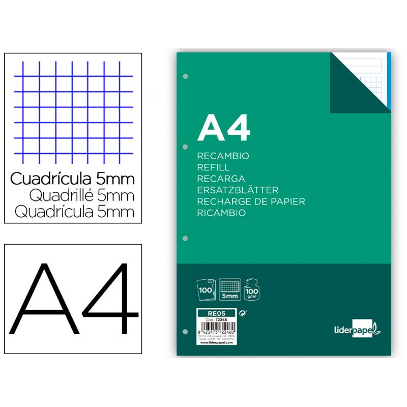 recambio-liderpapel-a4-100-hojas-100-gr-m2-cuadro-5-mm-4-taladros-bandas-de-5-colores