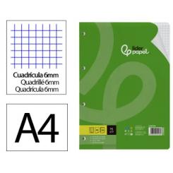 Recambio LIDERPAPEL A4 100 Hojas 75gr cuadriculada 6mm 4 taladros c/margen
