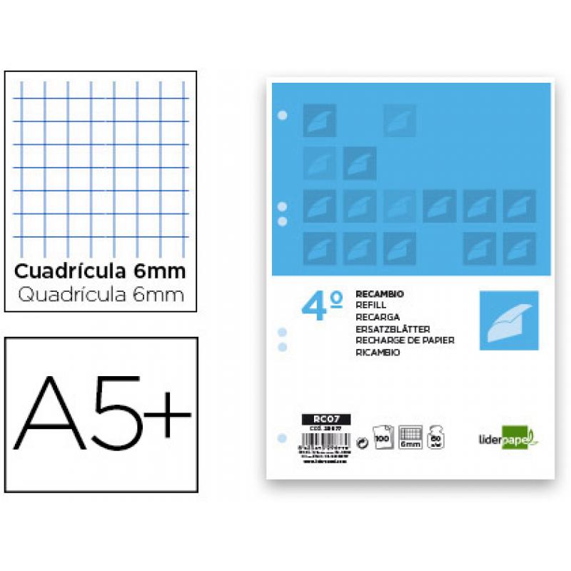 recambio-liderpapel-cuarto-100-hojas-60gr-m2-cuadro-6mm-con-m-argen-6-taladros
