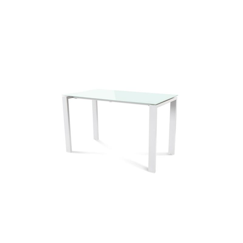 rocada-mesa-de-oficina-serie-total-120x60-blanco-cristal-blanco