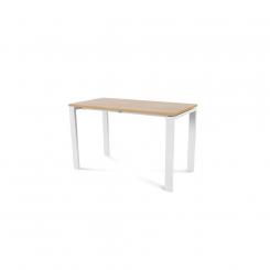 Rocada mesa de oficina serie total 120x60 blanco/ roble