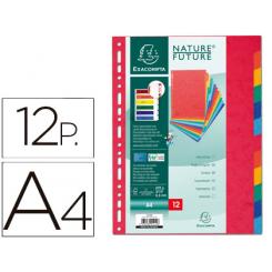 Separador Exacompta Cartulina Simil Prespan Juego De 12 Separadores DIN A4 Multitaladro Colores Vivos