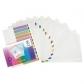 separadores-viquel-a4-12-ps-multicolor