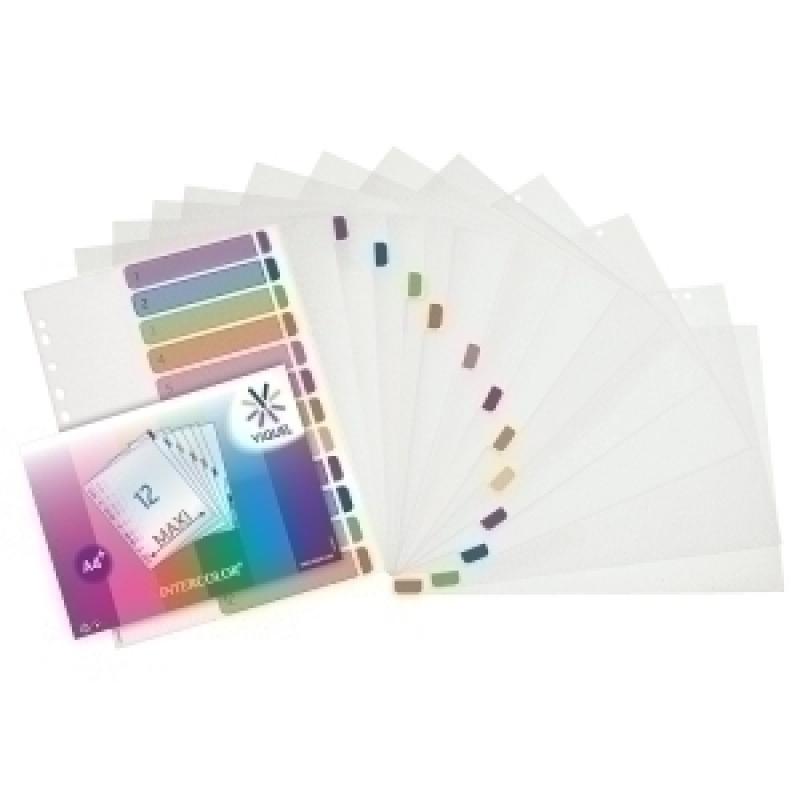 separadores-viquel-a4-12-ps-multicolor
