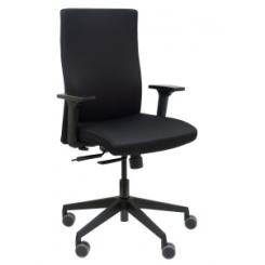 Silla Dauphin To Strike Focus Negro